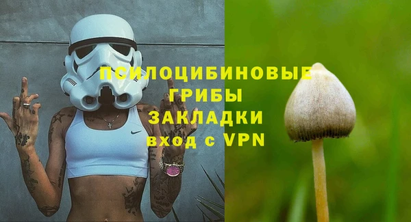 мяу мяу мука Киров